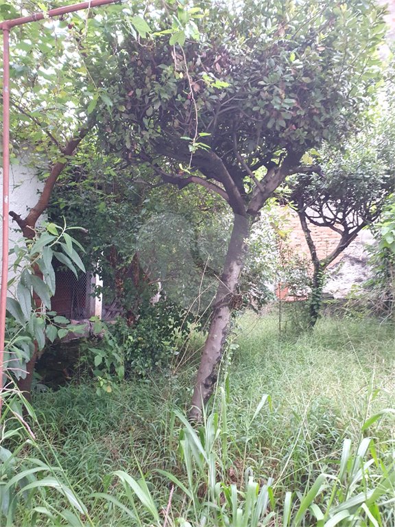 Casa à venda com 4 quartos, sendo 3 suítes, em Vila Guilherme, São Paulo, SP