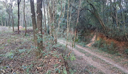 Terreno à venda em Serra da Cantareira, Mairiporã, SP