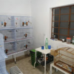 Sobrado à venda com 3 quartos em Vila Gomes, São Paulo, SP