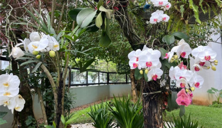 Apartamento Residencial à venda, Barra Funda, Guarujá - AP0179.