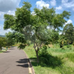 Terreno à venda no condomínio Parque Campos de Santo Antonio II, Itu - SP
