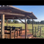 Chácara à venda com 6 quartos no Centro, Terenos, MS