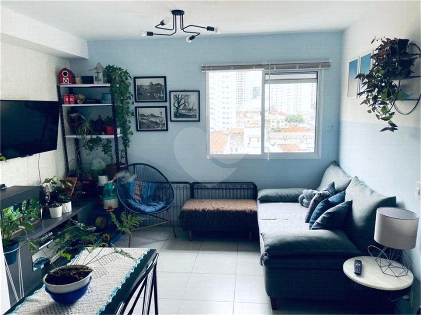 Apartamento à venda com 1 quarto em Cambuci, São Paulo, SP