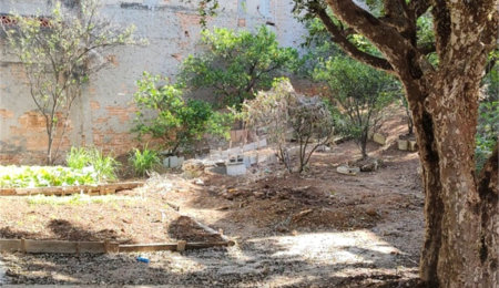Terreno à venda em Vila Gustavo, São Paulo, SP