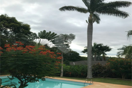 Casa à venda com 5 quartos, sendo 3 suítes, no condomínio Recanto das Flores, Indaiatuba - SP