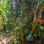 Casa à venda ou para alugar com 4 quartos em Jardim Marajoara, São Paulo, SP