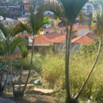 Terreno à venda em Jardim Bonfiglioli, São Paulo, SP