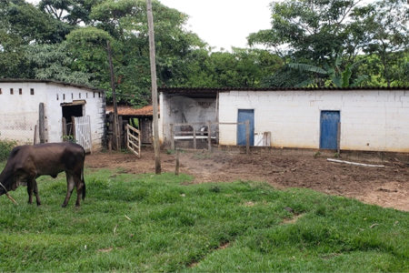 Sitio para venda.