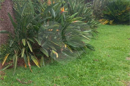 Casa à venda ou para alugar com 5 quartos, sendo 1 suíte,  em Vila Oliveira, Mogi das Cruzes, SP