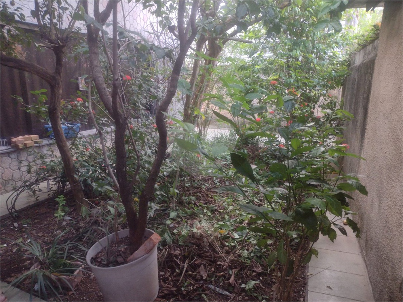 Sobrado à venda com 2 quartos, sendo 1 suíte, em Jardim Iv Centenário, São Paulo, SP