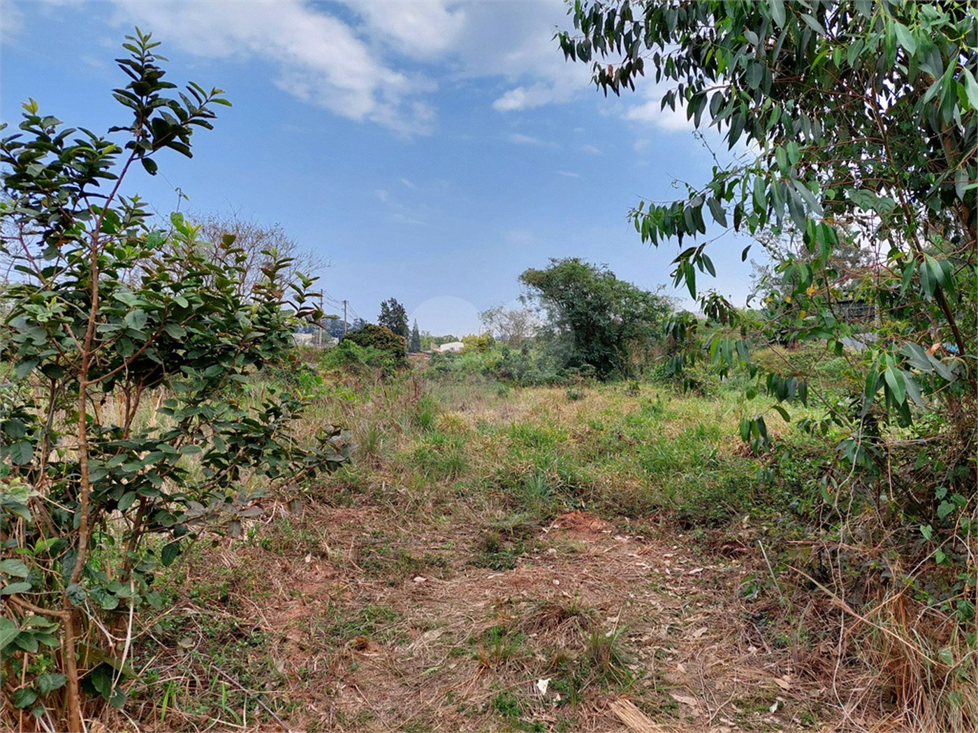 Terreno à venda em Jardim Boa Vista (zona Oeste), São Paulo, SP