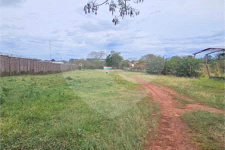 Terreno para alugar em Vila Áurea, Ponta Porã, MS