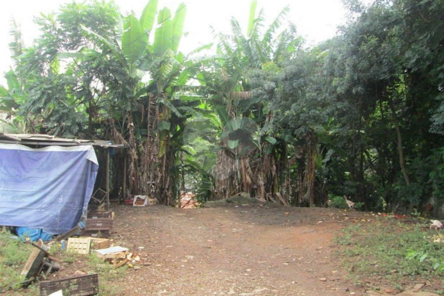 Terreno à venda em Palmas do Tremembé, São Paulo, SP