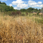 Terreno à venda em Jardim Colombo, Itapetininga, SP