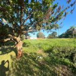 Terreno à venda em Pedro Juan Caballero, Amambay