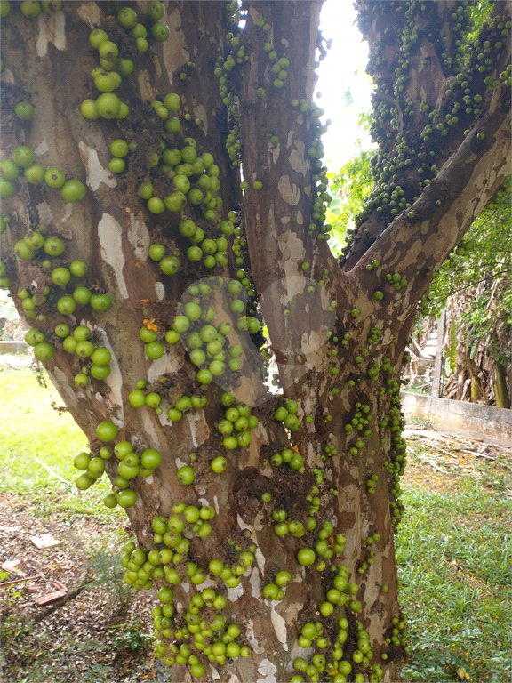 Terreno à venda em Jardim Bela Vista, Guarulhos, SP