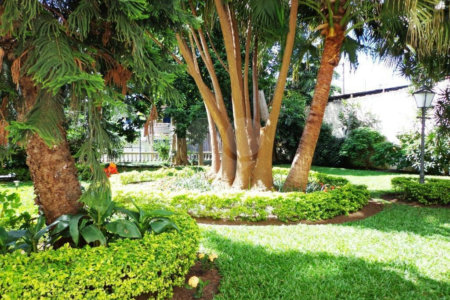 Apartamento à venda com 2 quartos em Vila Mascote, São Paulo, SP
