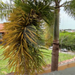 Casa à venda ou para alugar com 7 quartos, sendo 2 suítes, em Jardim Eltonville, Sorocaba, SP