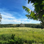 Sítio à venda com 3 quartos em Campo de Boituva, Boituva, SP