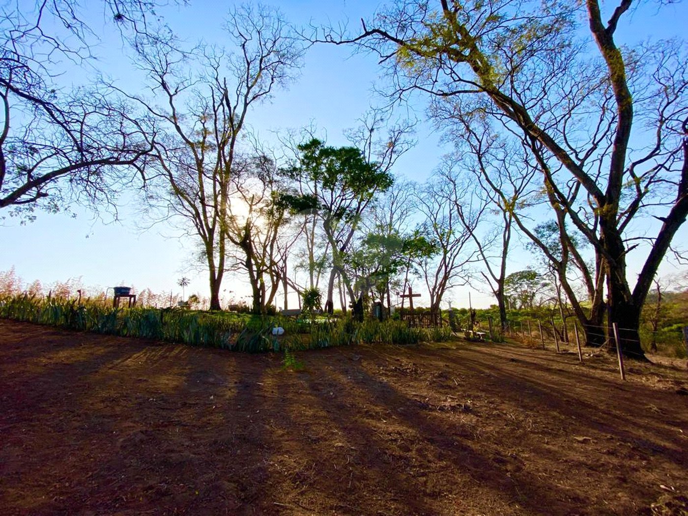 Sítio na cidade de Taiuva-SP.