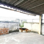 Casa à venda na Vila Matilde, 3 quartos, 2 garagens