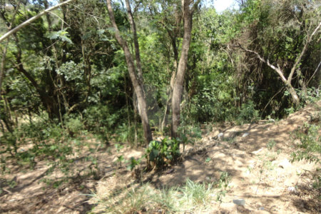 Chácara à venda com 4 quartos em Vista Alegre, Vinhedo, SP