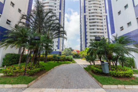 Apartamento à venda com 3 quartos, sendo 1 suíte, em Cambuci, São Paulo, SP
