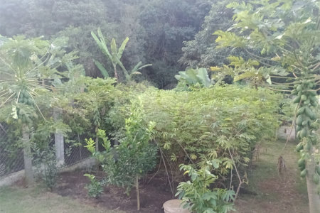 Chácara à venda com 5 quartos, sendo 1 suíte, em Jardim Marabá, Itapetininga, SP