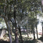 Terreno à venda em Horto, São Paulo, SP