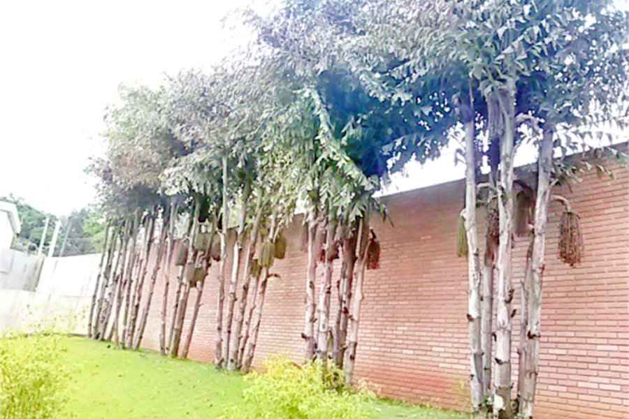 Terreno à venda no condomínio Estrada do Corisco,4929, São Paulo - SP