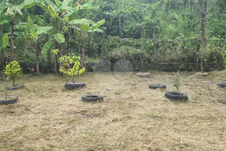Chácara à venda com 4 quartos em Aguapeú, Itanhaém, SP