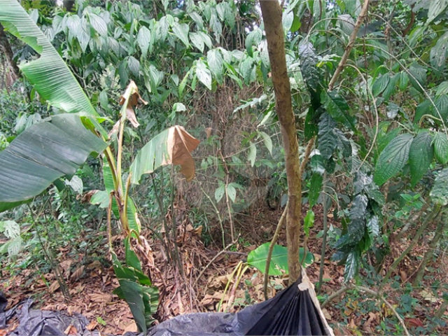 Condomínio à venda em Caraguatá, Mairiporã, SP