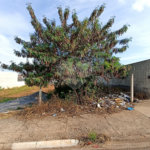 Terreno à venda em Vila Belo Horizonte, Itapetininga, SP