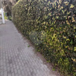 Terreno à venda em Guarapiranga, São Paulo, SP