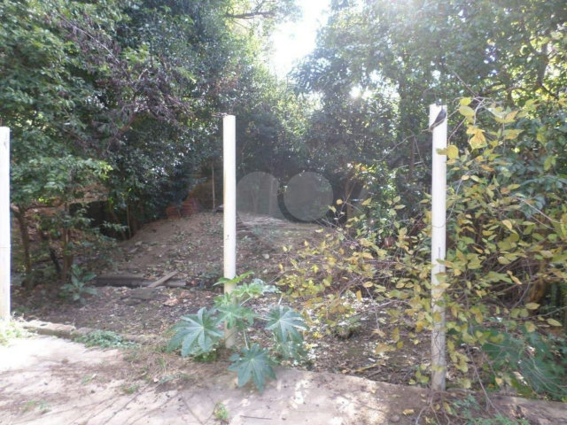 Terreno à venda ou para alugar em Água Fria, São Paulo, SP