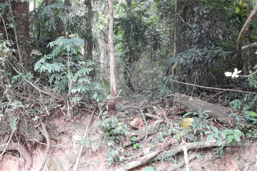 Terreno à venda em Roseira, Mairiporã, SP