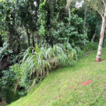 Terreno à venda no condomínio Associação Reserva das Hortênsias, Mairiporã - SP