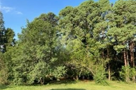 Sítio à venda com 2 quartos em Vila Brasileira, Itatiba, SP