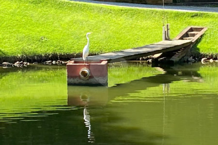 Sítio à venda com 3 suítes em Recreio Costa Verde, Itatiba, SP