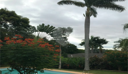 Casa à venda com 5 quartos, sendo 3 suítes,  no condomínio Recanto das Flores, Indaiatuba - SP
