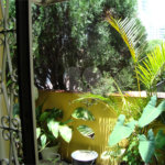 Sobrado à venda com 3 suítes em Vila Clementino, São Paulo, SP