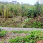 Terreno à venda em Luiz Fagundes, Mairiporã, SP