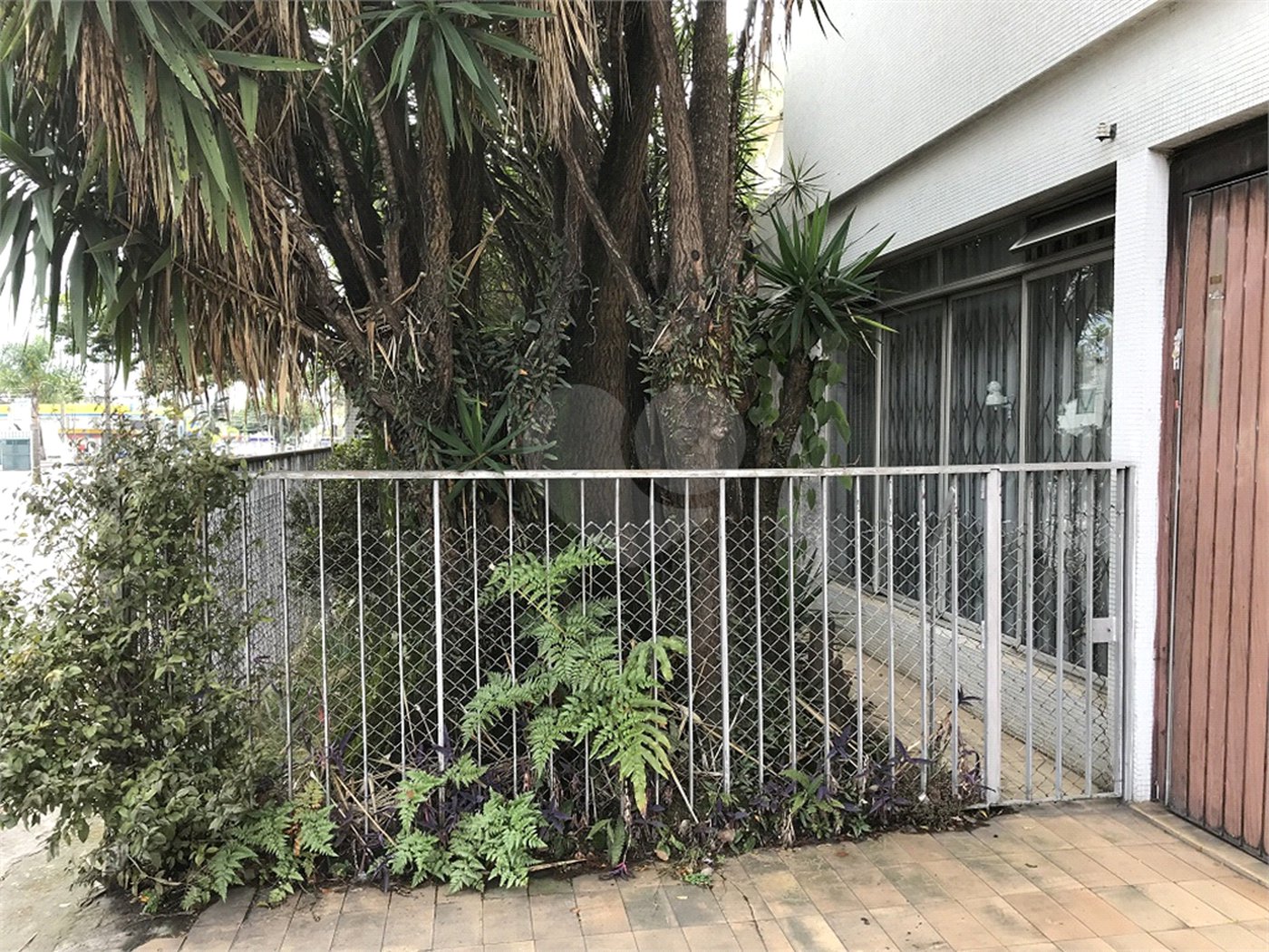 Casa à venda com 5 quartos, sendo 2 suítes, em Planalto Paulista, São Paulo, SP