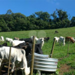 Sítio à venda com 5 quartos, sendo 1 suíte,  em Área Rural de Tapiraí, Tapiraí, SP