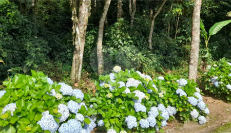 Terreno à venda em Roseira, Mairiporã, SP
