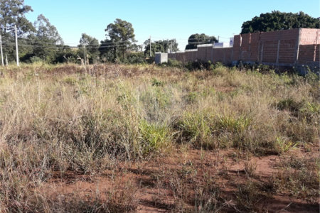 Vendo Terreno no Parque Industrial em São Carlos SP