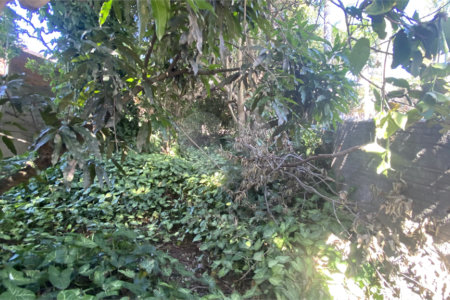Terreno à venda em Vila Aurora (zona Norte), São Paulo, SP