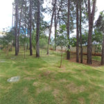 Apartamento à venda com 2 quartos em Jardim Arpoador, São Paulo, SP