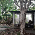 Terreno à venda em Vila Gustavo, São Paulo, SP