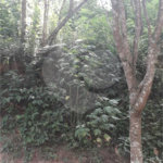 Terreno à venda no condomínio Alpes de Mairiporã, Mairiporã - SP